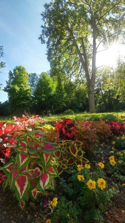 Moderne Ferienwohnungen Am Kurpark - Zentral, Ruhig & Nah Am Edersee Bad Wildungen Eksteriør bilde
